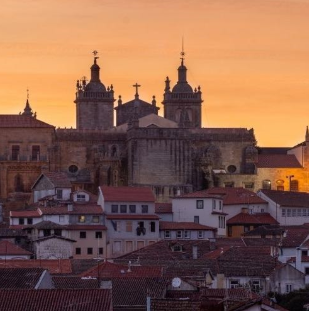 Brasileiros em Viseu